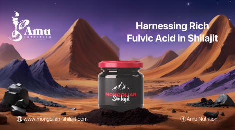 Discover the Power of Fulvic Acid: Elevate Your Wellness Naturally