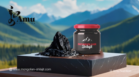 The Ultimate Guide to Shilajit Resin: Origins, Benefits, and Use