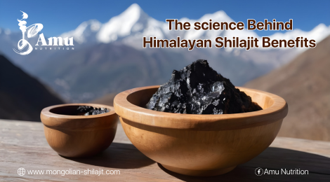 Unraveling the intriguing Science Behind Himalayan Shilajit Benefits