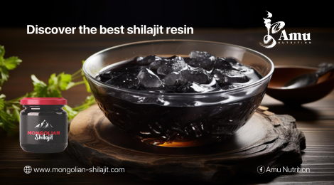 Discover the best Shilajit resin Guide: Your Path to Vitality and Wellness